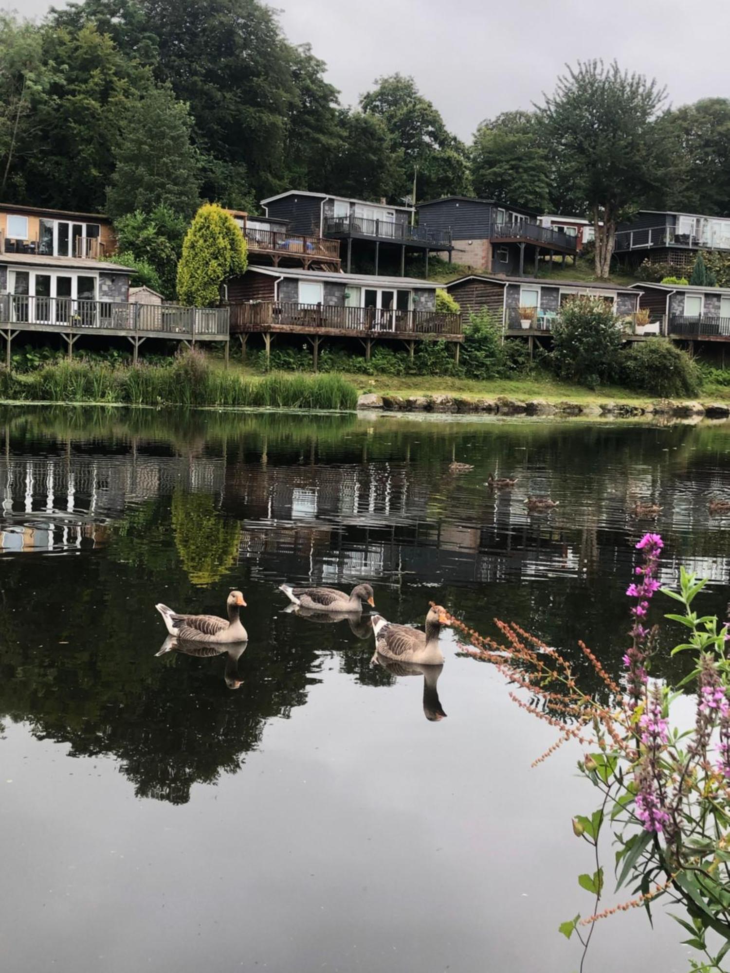 Chalet 64, Lakeside, Glan Gwna Holiday Park เคอร์นาวอน ภายนอก รูปภาพ